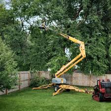 Spring City, UT Tree Care Company