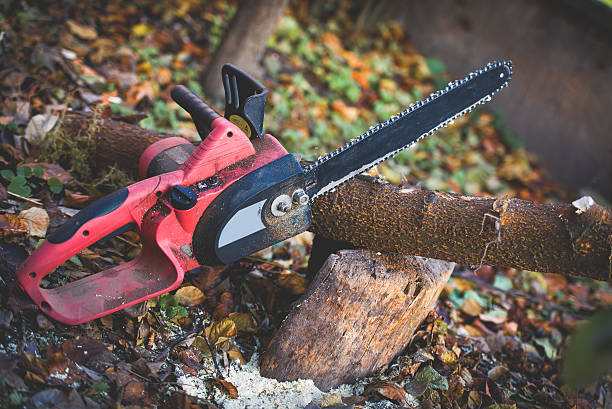 Best Stump Grinding and Removal  in Spring City, UT